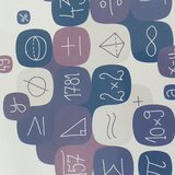 Profesor matematica vechime 35 ani